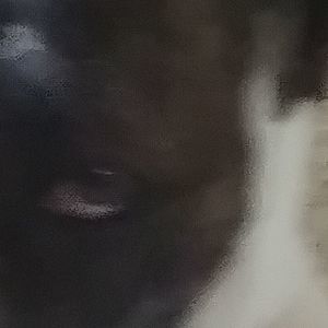 Meet your Posher, Gabriel